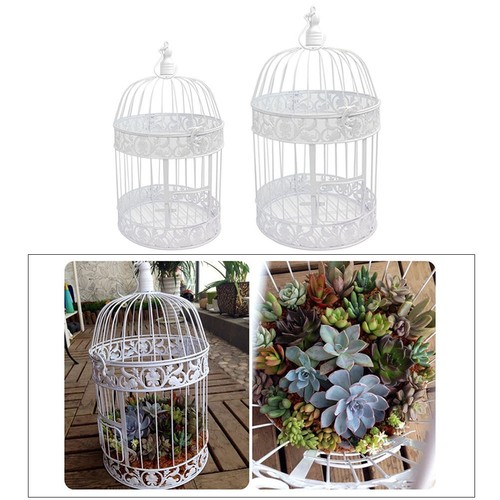 Bird cage hollow - cage,