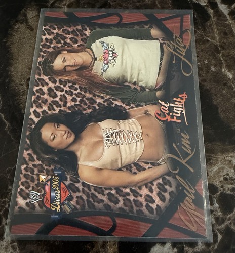 2004 fleer wwe - 2004,