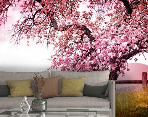 Cherry blossom wallpaper - 3d,
