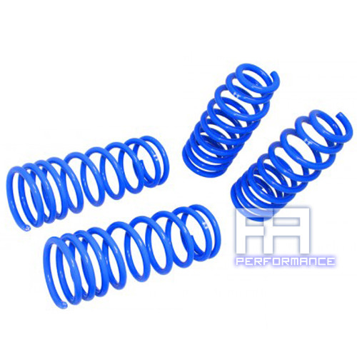 Manzo lowering lower springs - lower,