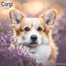 Corgi 2026 Calendar | Dog Breed Gift Wall 15% OFF MULTI ORDERS
