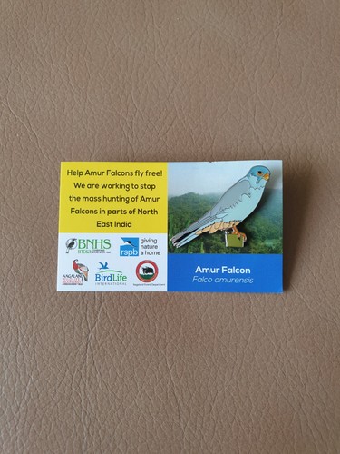 Rspb international amur falcon - rspb,