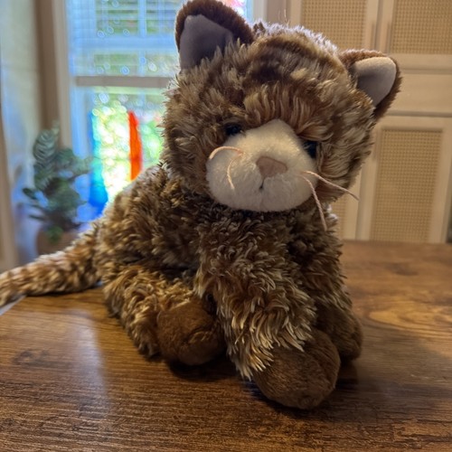 Classic 2006 brown tabby - ty,