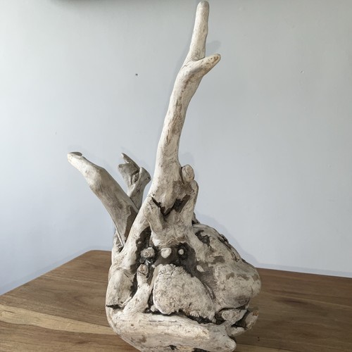 1ft driftwood piece root - driftwood,