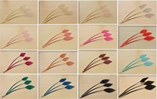 Arrowhead Turkey Quill Feather