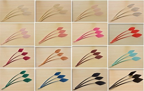 Arrowhead turkey quill feather - turkey,