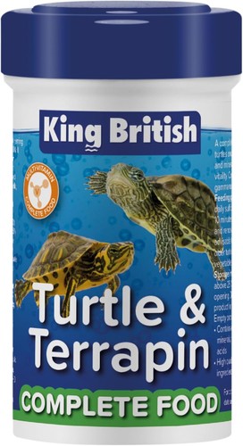 King british turtle - king,
