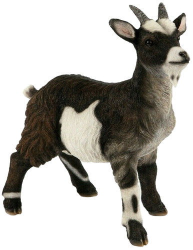 Pygmy goat ornament - goat, life