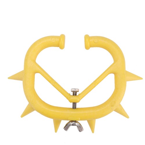 A10pcs calf weaning - a10pcs, rings