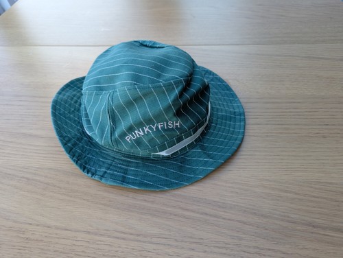 Green pinstripe punkyfish - green,