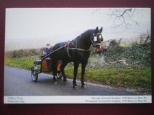 POSTCARD D2-2 ANIMALS HORSE & TRAP IN WALES