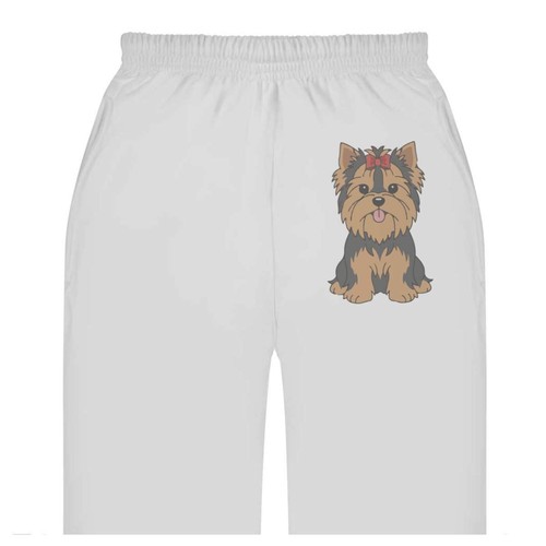 Yorkshire terrier adult - terrier',