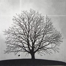 4x Single Paper Napkins for