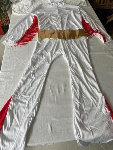 Elvis jumpsuit fancy dress - elvis,