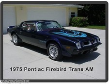 1975 Pontiac Firebird Trans Am