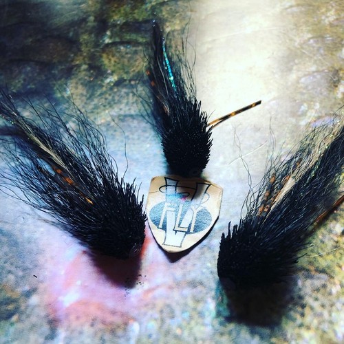 Fly inch ultimate alta - fly,