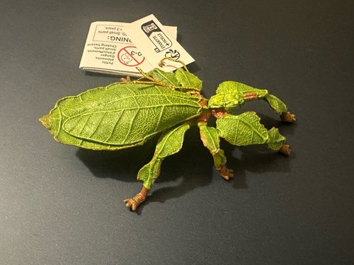 Papo 50323 leaf - papo, insect