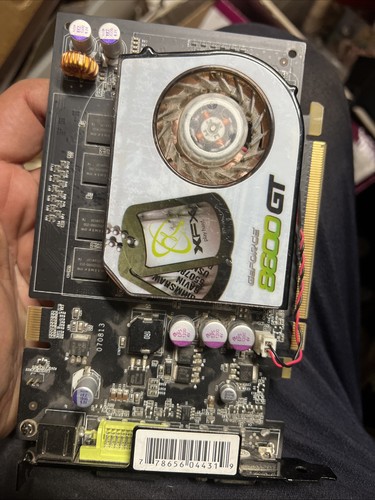 Xfx nvidia geforce - nvidia, gt