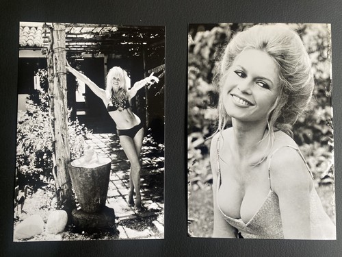 Pair brigitte bardot - brigitte,