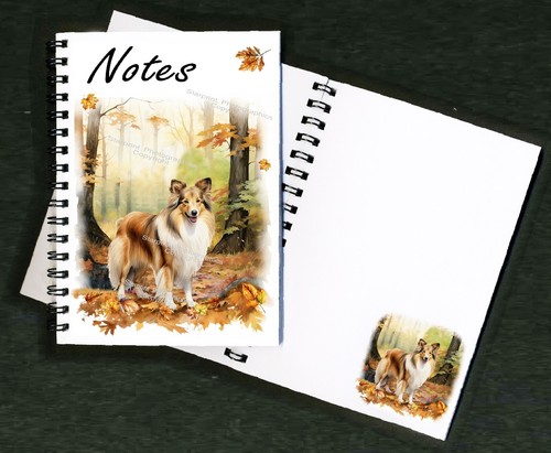 Shetland sheepdog sheltie - shetland, /