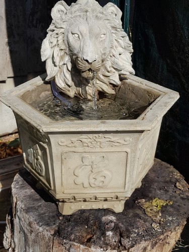 Stone lions head with - stone,
