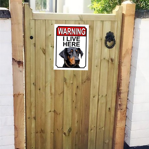 Warning live here doberman - live,