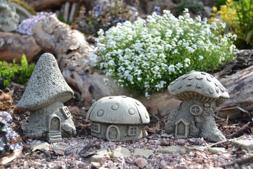 Fairy mushroom house - fairy,