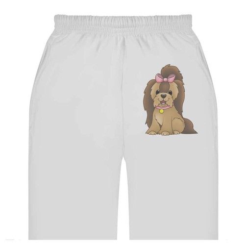 Yorkshire terrier dog adult - terrier, dog'