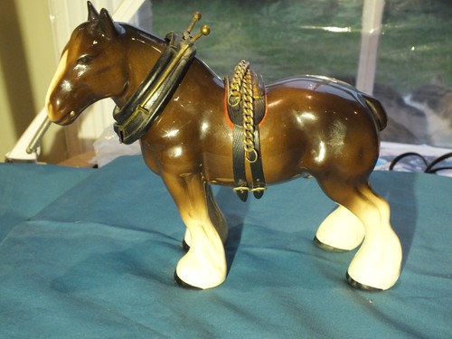 Glossy shire mare horse - shire,