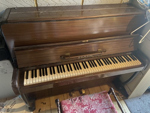 Dalmaine octave mini - 6.5,