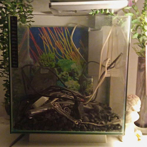 30l glass cube aquarium - cube,