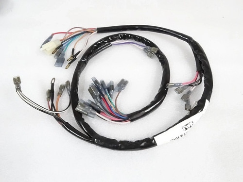 Complete main wiring harness - main,