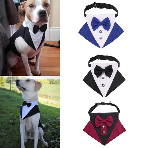Pet dog tuxedo suit and - pet,