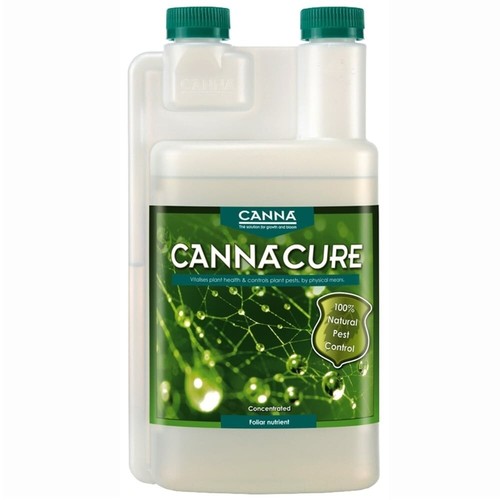 Canna cure spider mite - cure,