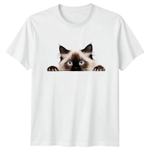 Peeking ragdoll cat face - ragdoll,