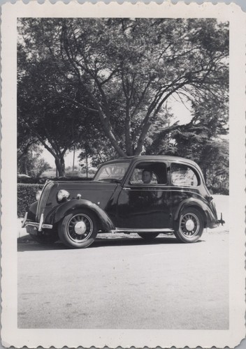 Standard eight classic - eight,