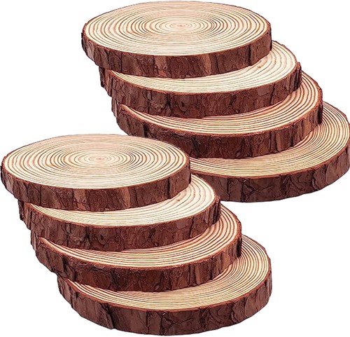 Large wood slices - slices, round