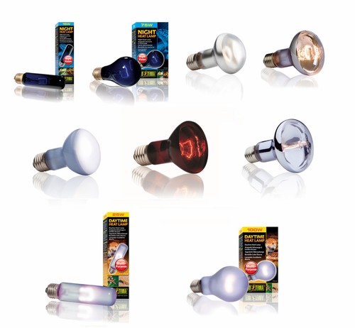 Exo terra bulb reptile lamp - exo,