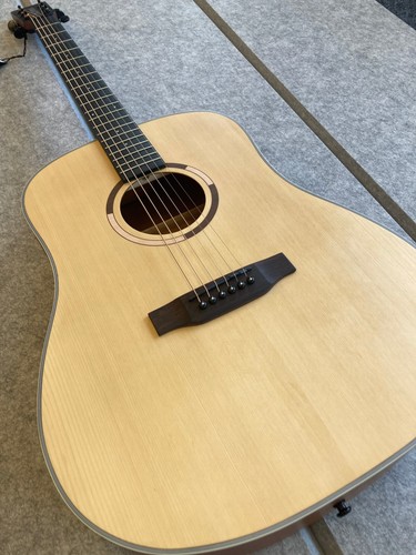 Acoustic guitar strada - acoustic,