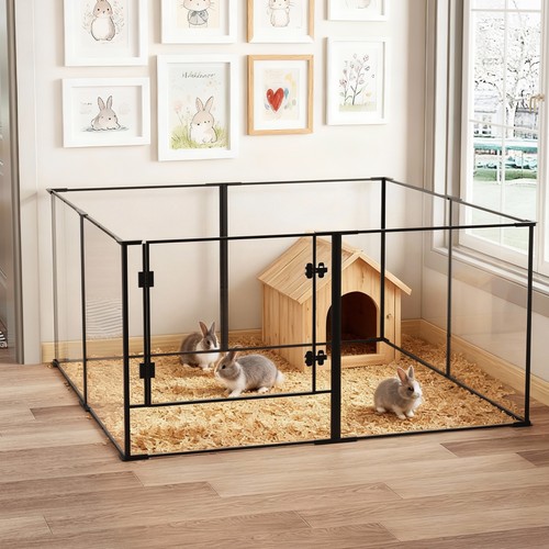 Bingopaw panel pet puppy - bingopaw, 8