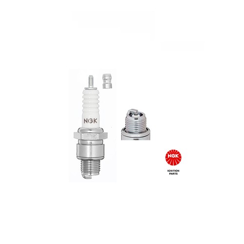 Spark plug beetle bug - plug, t1