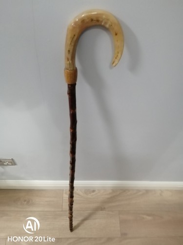 Rams horn shepherds - horn,