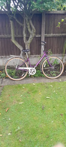 Raleigh caprice pioneer - ,