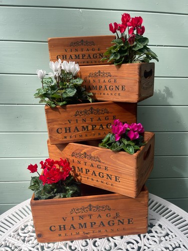 Rustic vintage style - rustic, wooden