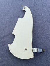 Egmond Lion guitar pickguard