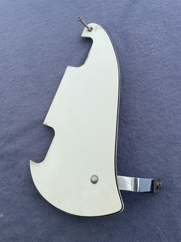 Egmond lion guitar pickguard - egmond,