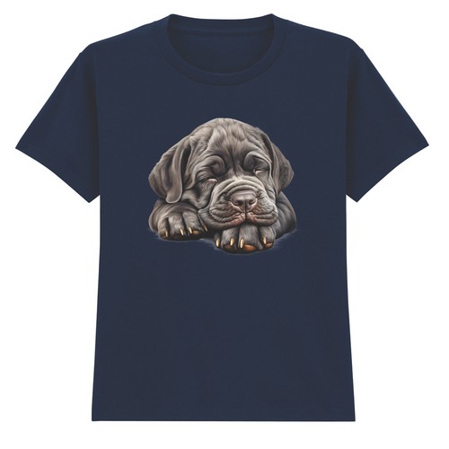 Sleeping neapolitan mastiff - sleeping,