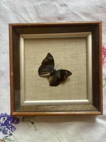 Vintage framed mounted - vintage,