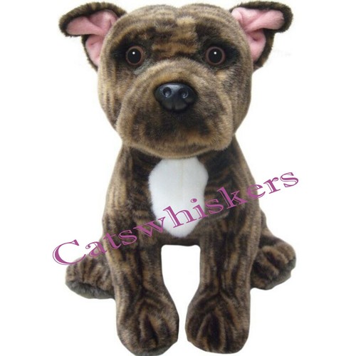 Brindle staffordshire bull - brindle,