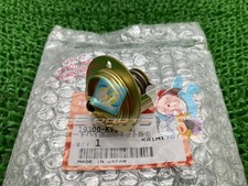 NSR250R Thermostat - In Stock